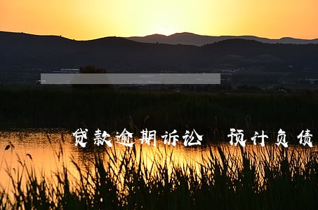 贷款逾期诉讼 预计负债 贷款逾期诉讼 预计负债